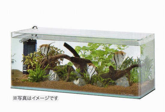 送料無料 フレームレス水槽 ダックスc60 Cfセット 観賞魚グッズ 水槽 ヤマゲンペット