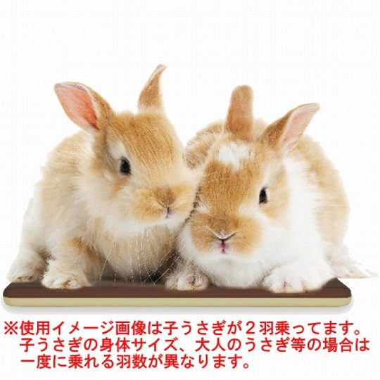 小動物用ミニペット用ヒーター ほーっと気分スリム ブラウン ヤマゲンペット